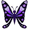 Butterfly Gif